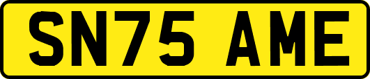 SN75AME