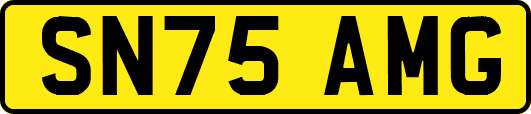SN75AMG