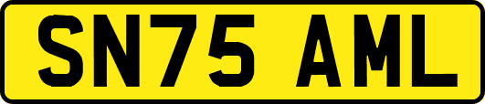 SN75AML