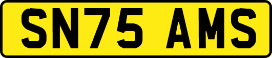 SN75AMS
