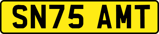 SN75AMT