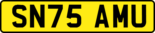 SN75AMU
