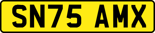 SN75AMX