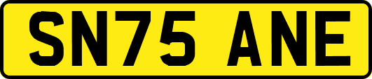 SN75ANE