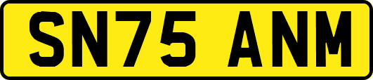 SN75ANM