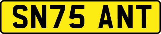 SN75ANT