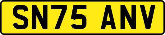 SN75ANV