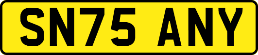 SN75ANY