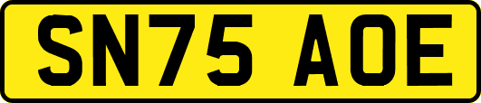 SN75AOE