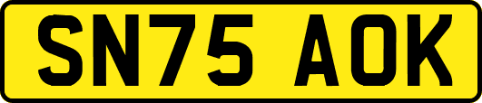 SN75AOK