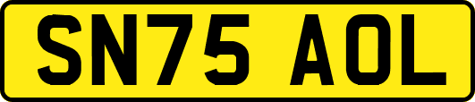 SN75AOL
