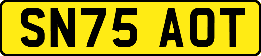 SN75AOT