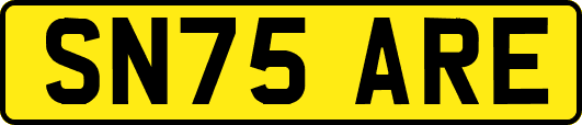 SN75ARE