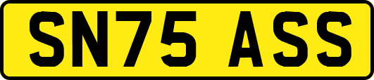 SN75ASS