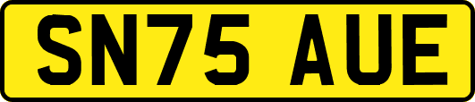 SN75AUE