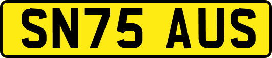 SN75AUS