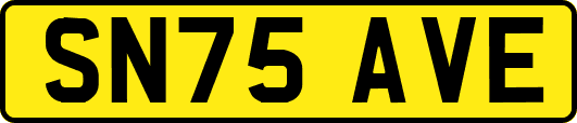 SN75AVE
