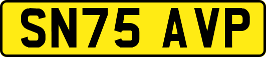SN75AVP