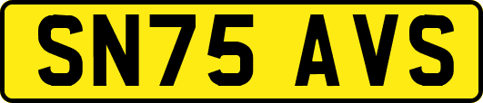 SN75AVS