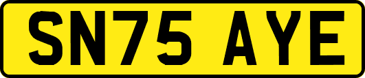 SN75AYE