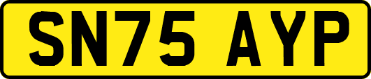 SN75AYP