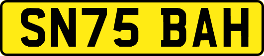 SN75BAH
