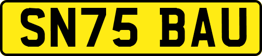 SN75BAU