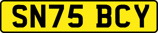 SN75BCY