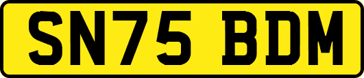 SN75BDM