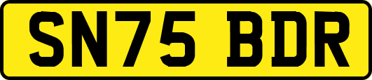 SN75BDR