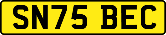 SN75BEC