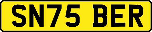 SN75BER