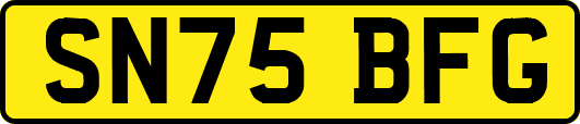 SN75BFG
