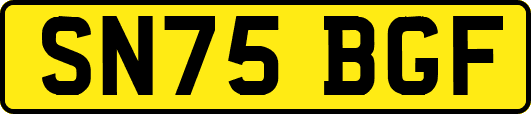 SN75BGF