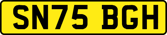 SN75BGH