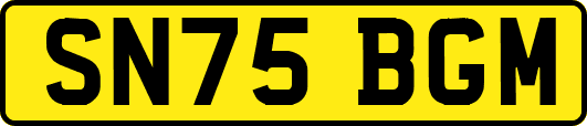 SN75BGM