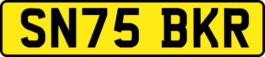 SN75BKR
