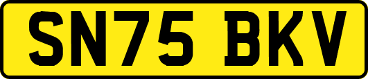 SN75BKV