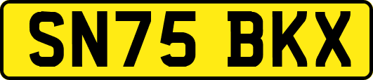 SN75BKX