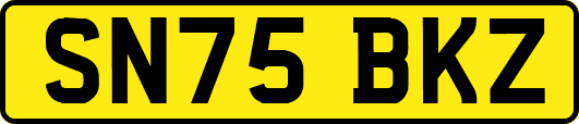 SN75BKZ