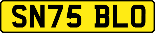 SN75BLO