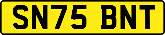 SN75BNT