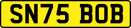 SN75BOB