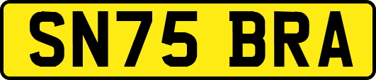 SN75BRA
