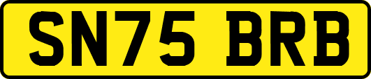 SN75BRB