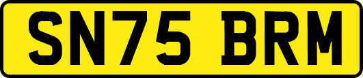 SN75BRM