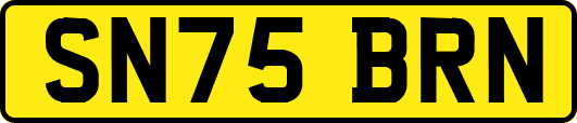 SN75BRN