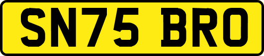 SN75BRO