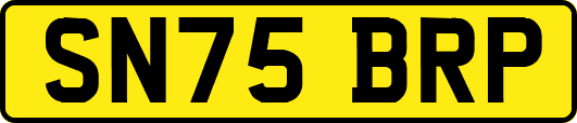 SN75BRP