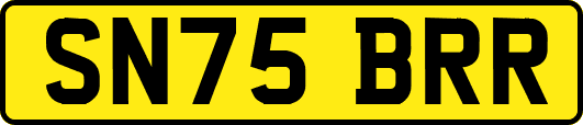 SN75BRR